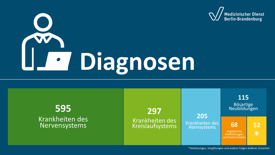Grafik zu den Diagnosen bei den Begutachteten: Es dominieren Krankheiten des Nervensystems (595) sowie Krankheiten des Kreislaufsystems (297).